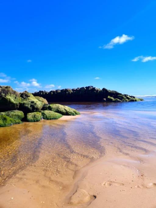 Superbe Studio A 8Mn En Voiture De La Plage Linxe Kültér fotó